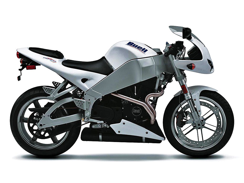 Pit Bull - Buell - XB9R